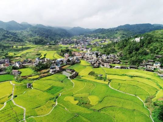 农村（从事农业生产者聚居的地方）