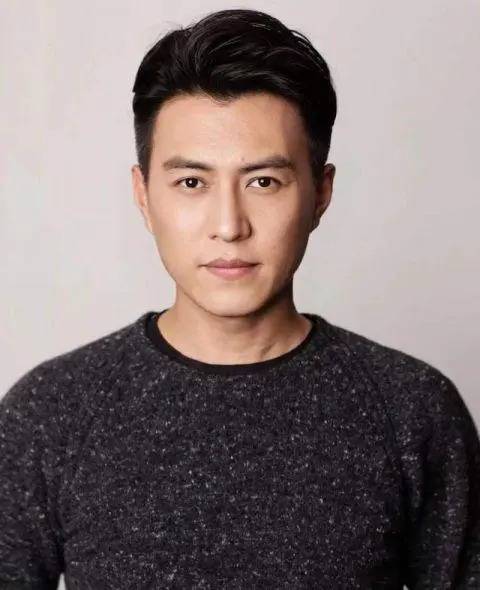 靳东（中国内地影视男演员）