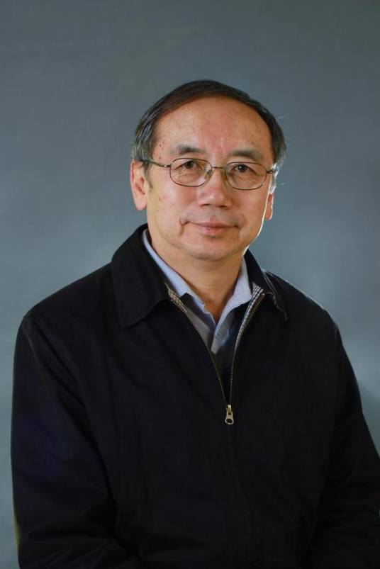 王小鲁（经济学博士）