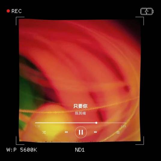 只要你（2022年陈其楠演唱的歌曲）