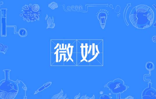 微妙（汉语词汇）