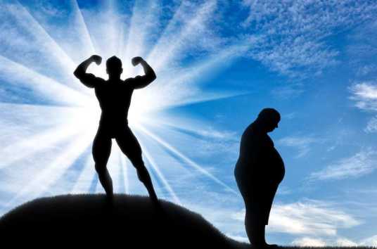 意志（汉语词语）