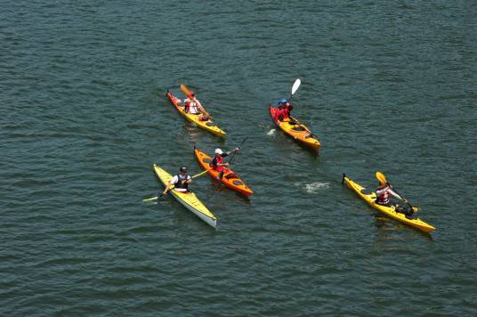 皮划艇(体育运动项目)