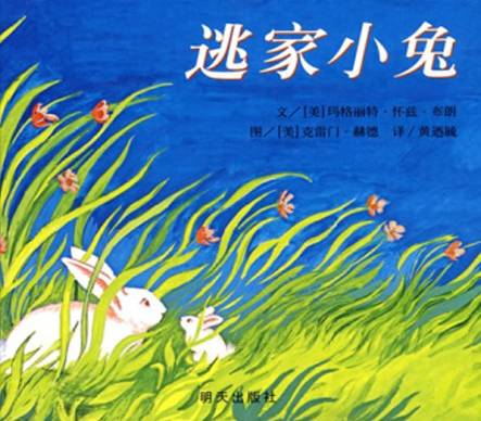 逃家小兔（2008年明天出版社出版的图书）