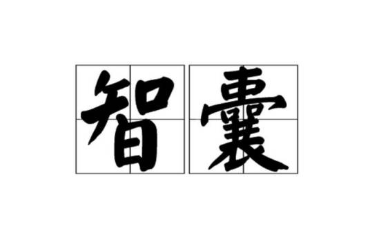 智囊（汉语词语）