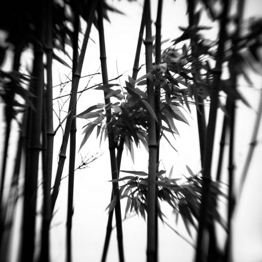 契阔(汉语词语)