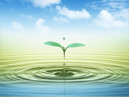 教育心理学（心理学分支学科）