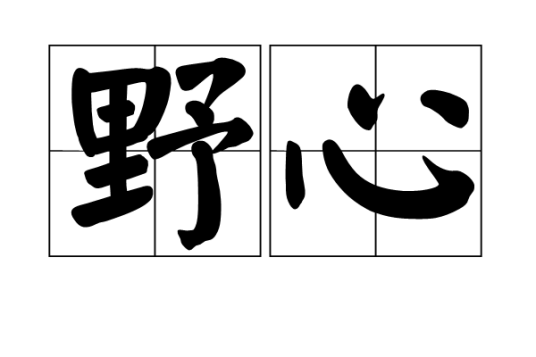 野心（汉语词汇）