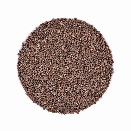 紫苏子（中药）