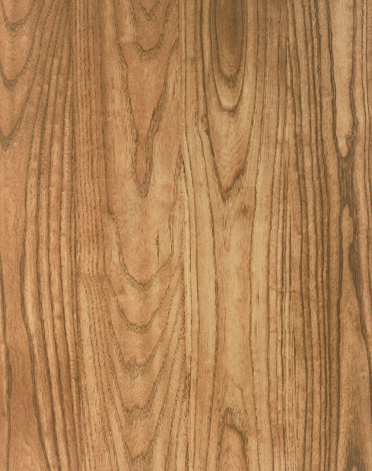 橡木（树木种类）