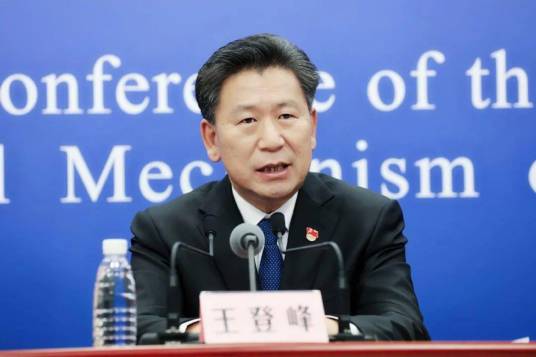王登峰（教育部体育卫生与艺术教育司原司长）