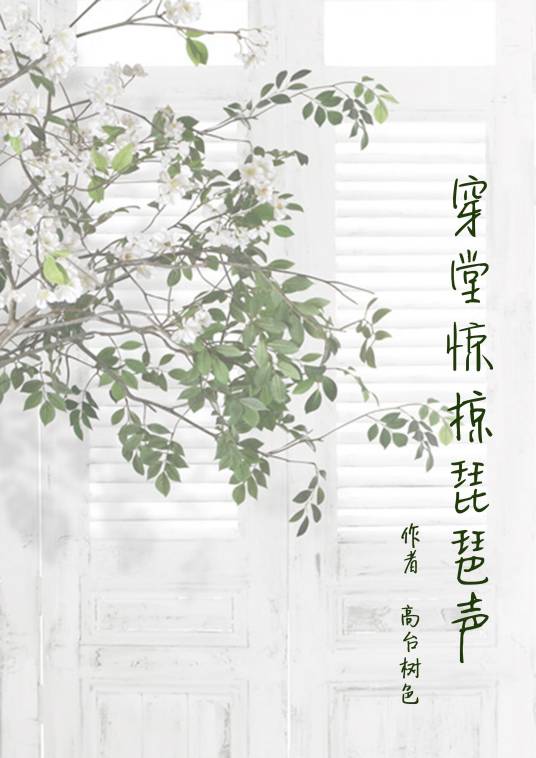 穿堂惊掠琵琶声（高台树色创作的都市类网络小说）