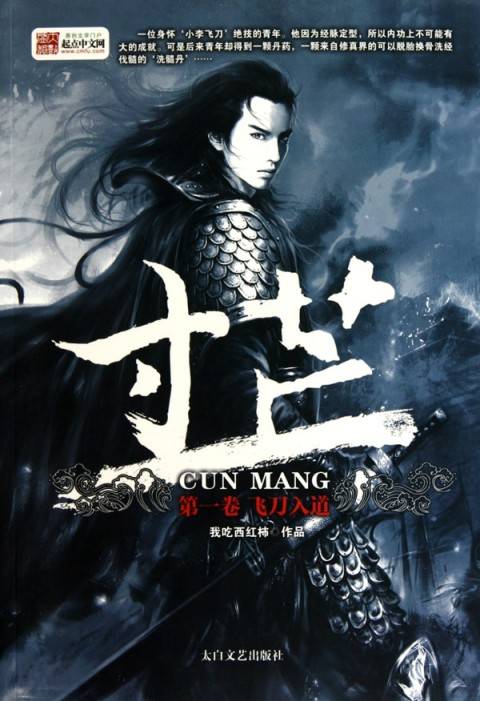 寸芒(我吃西红柿第二部长篇小说)