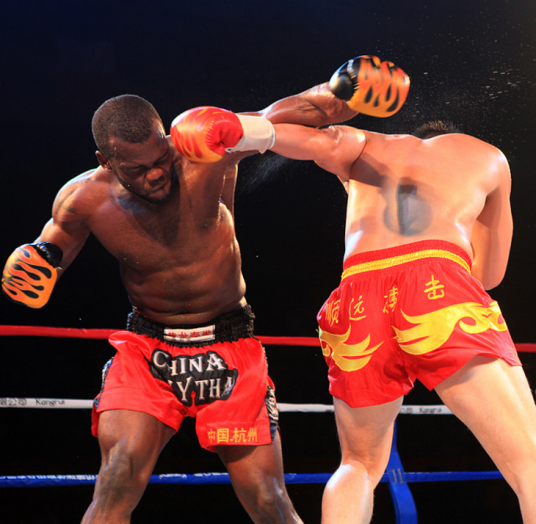 自由搏击（运动项目）