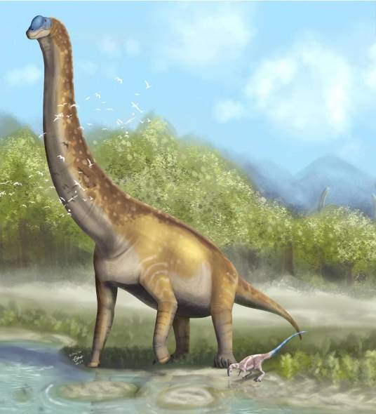 腕龙（蜥形纲动物）