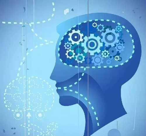 智力(生物一般性的精神能力)