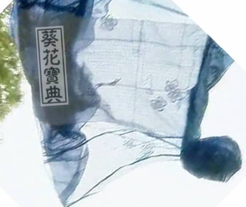 葵花宝典（《笑傲江湖》中的武功秘籍）