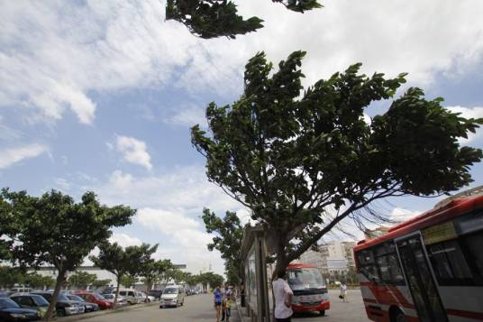 大风(自然现象)