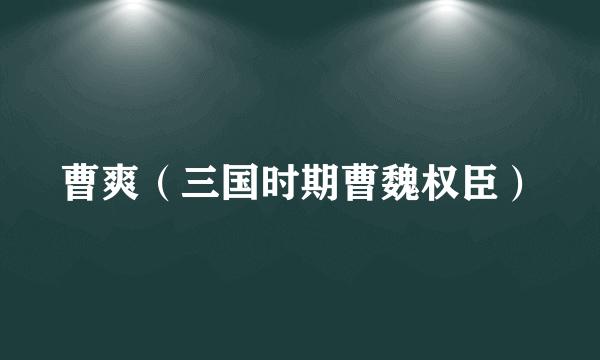 曹爽（三国时期曹魏权臣）