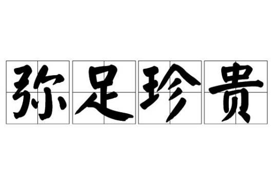 弥足珍贵（汉语词语）