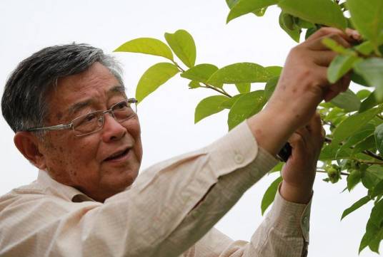 赵亚夫(中共二十大代表,农技专家,镇江市人大常委会原副主任)