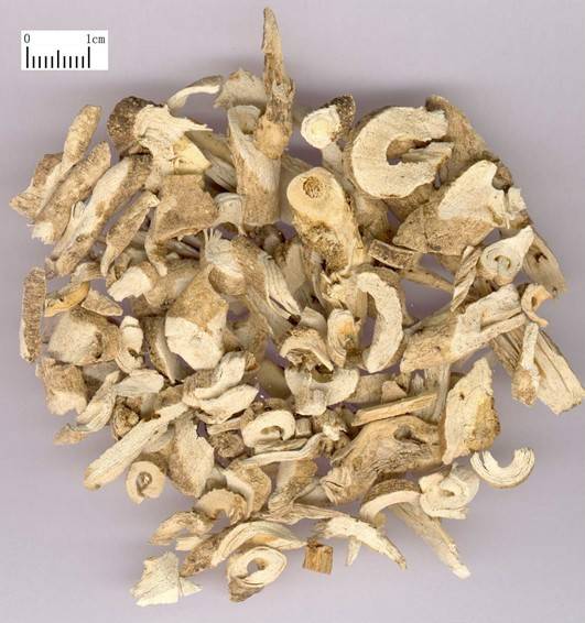 白鲜皮（中药）