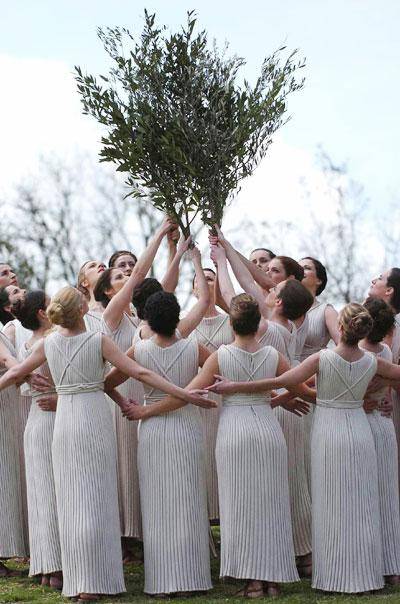 橄榄枝（油橄榄的树枝）