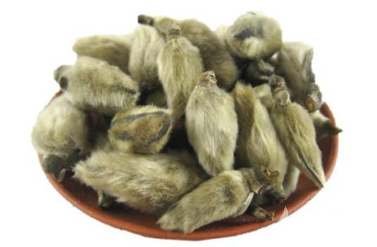 辛夷(木兰属植物的花蕾)