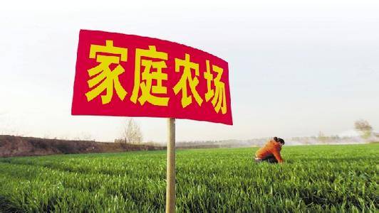 家庭农场（农业经营形式）