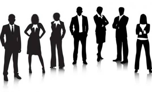 职业化(职业术语)