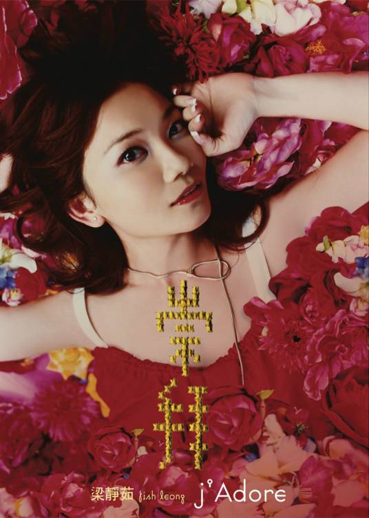 给未来的自己（梁静茹演唱歌曲）