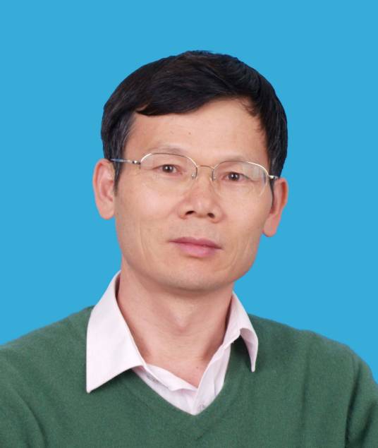 陈林(中国科学技术大学教授)