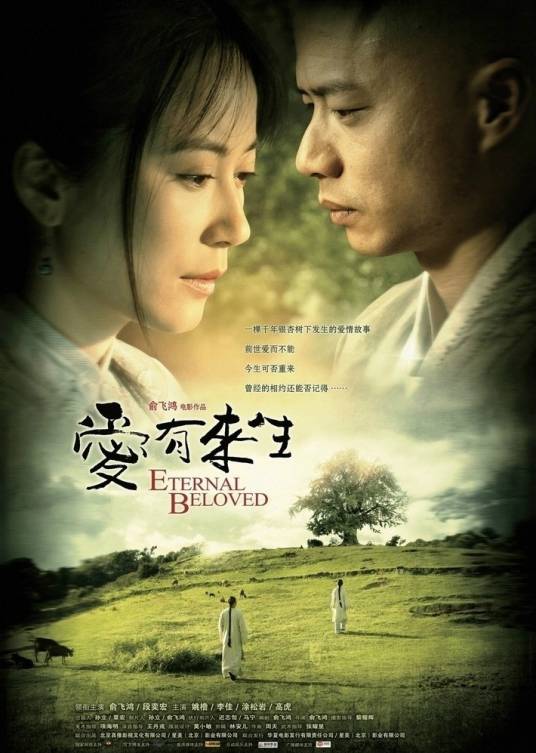 爱有来生（2009年俞飞鸿、段奕宏主演的电影）