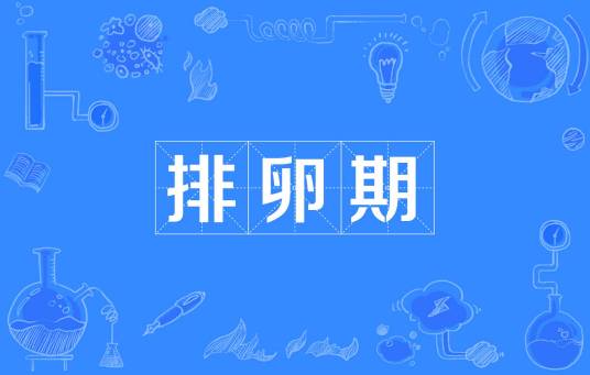 排卵期