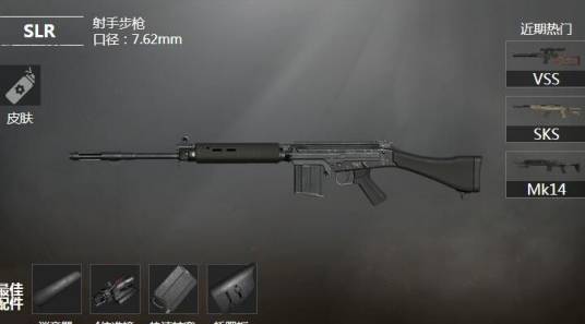 slr（游戏《和平精英》中的武器）