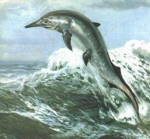 鱼龙(已灭绝的海栖爬行动物)