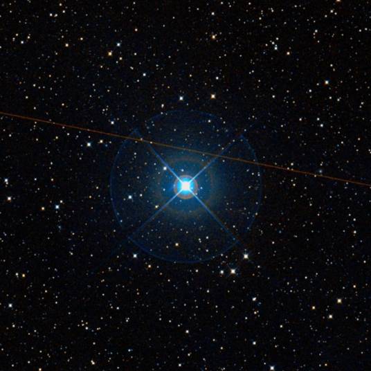 南极星（最靠近南天极的肉眼可见的恒星）