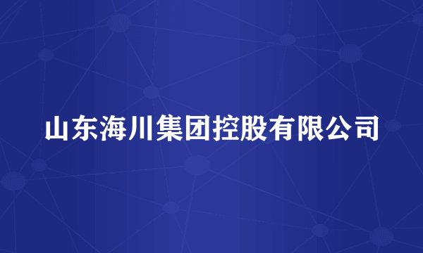 山东海川集团控股有限公司