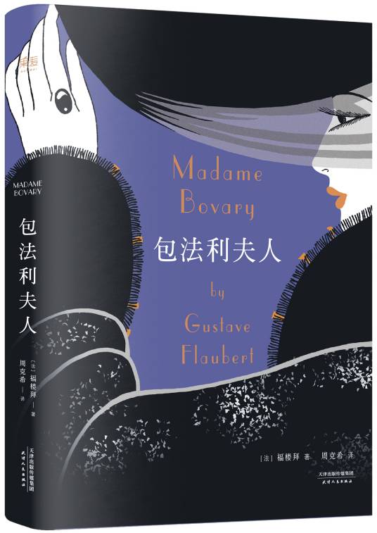 包法利夫人（福楼拜著长篇小说）