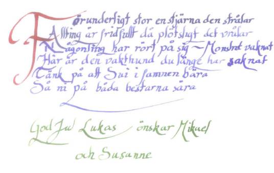 瑞典语(印欧语系日耳曼语族北日耳曼语支语言)