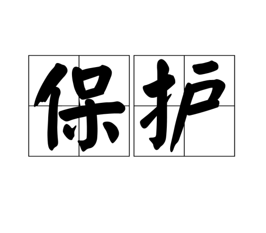 保护（汉语词语）
