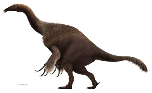 镰刀龙(是一种发现于蒙古的大型兽脚类恐龙)