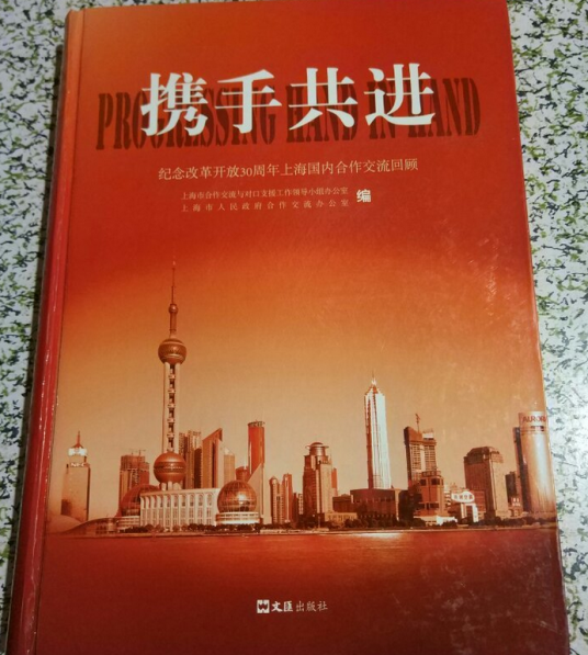 携手共进（2008年文汇出版社出版的图书）