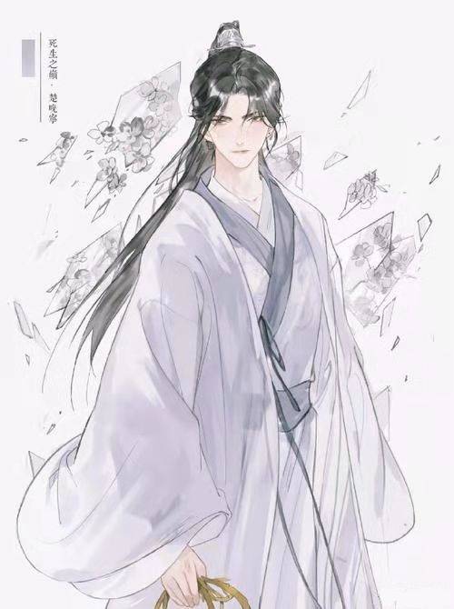 楚晚宁（小说《二哈和他的白猫师尊》及其衍生作品中的男主角之一）