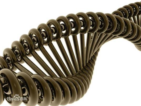 遗传(生物学名词)