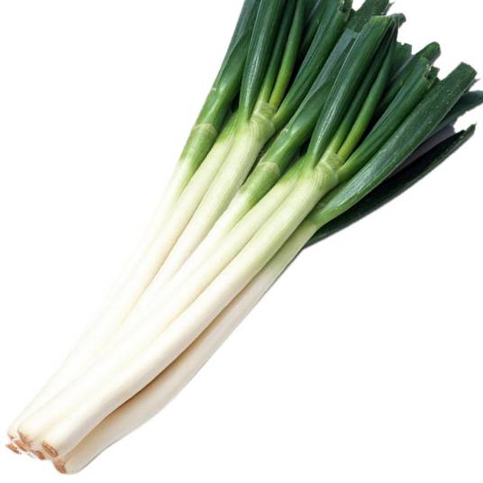 大葱（石蒜科葱属植物）