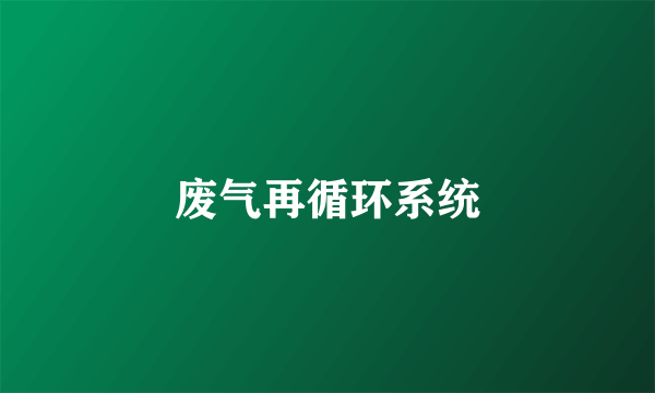废气再循环系统