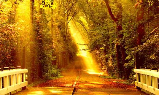 未选择的路(弗罗斯特作诗歌)