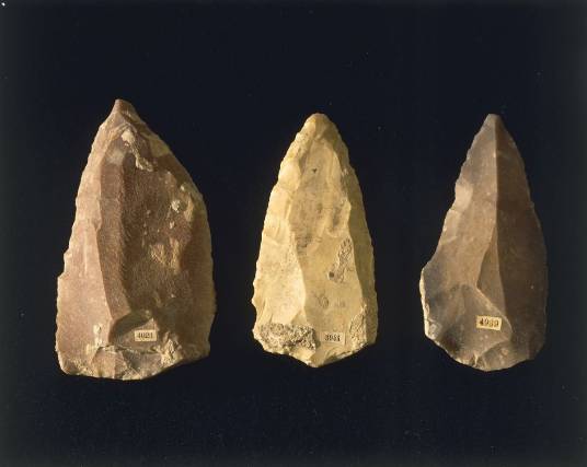 燧石（硅质岩石）