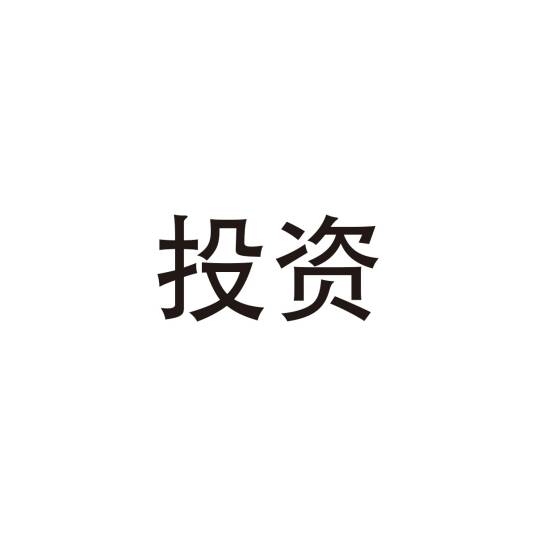 投资（货币转化为资本的过程）